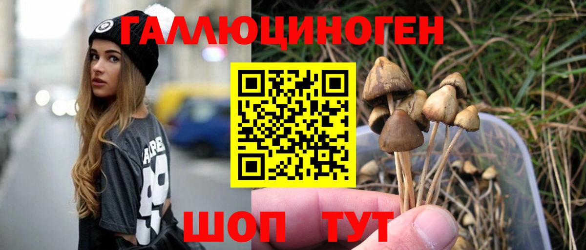 Сунжа  Галлюциногенные грибы MAGIC MUSHROOMS  Вход с VPN 
